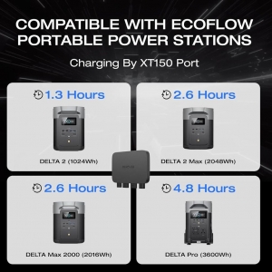 Cargador para Alternador de Carro Ecoflow 800 W_7