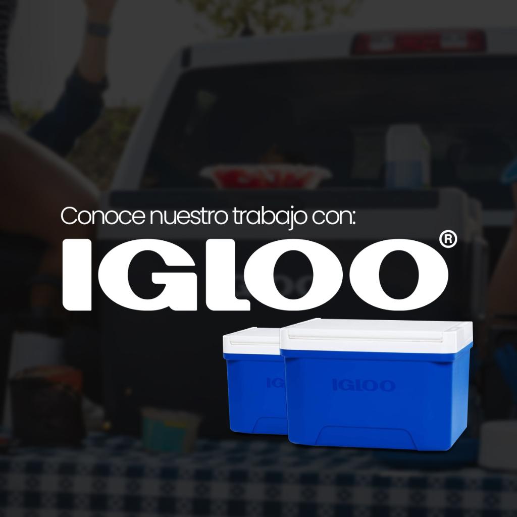 Conoce a Igloo Coolers - Quidonline